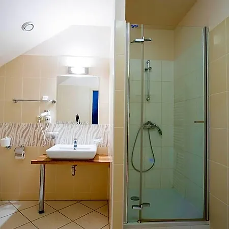 U Pramenu Hotel 4*