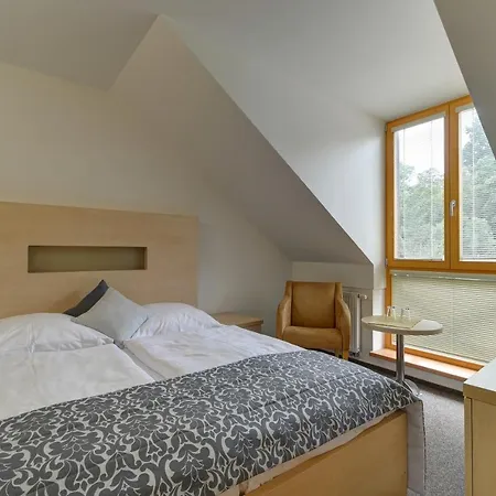 Hotell U Pramenu 4*